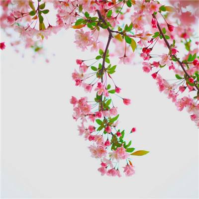 剑与霸业手机版